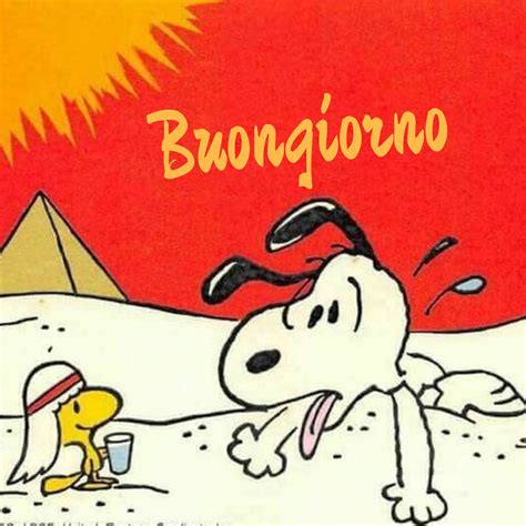 buongiorno snoopy caldo